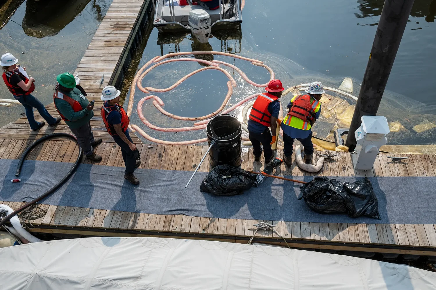 Harbor East diesel spill sparks concern as impact to wildlife examined