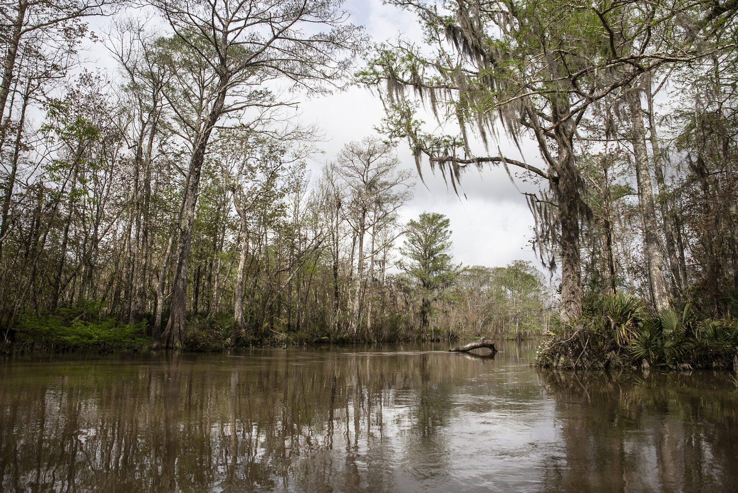 Mississippi leads states in environmental budget cuts, new report says