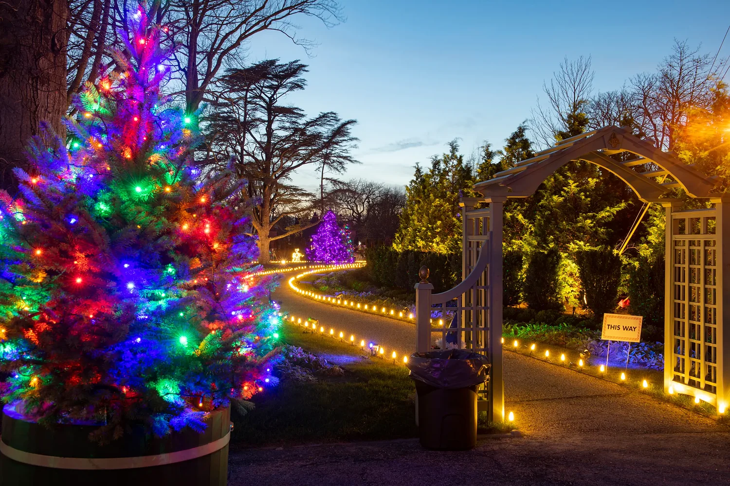 What’s up this weekend in Newport County: Dec. 5-7