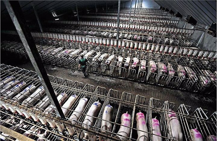 US pressure weakens global commitments on antimicrobial resistance
