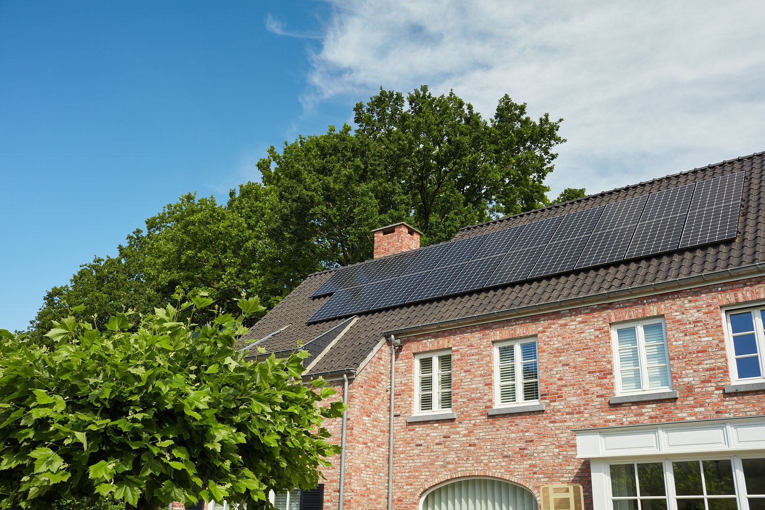 Quels panneaux solaires choisir pour un rendement optimal ?
