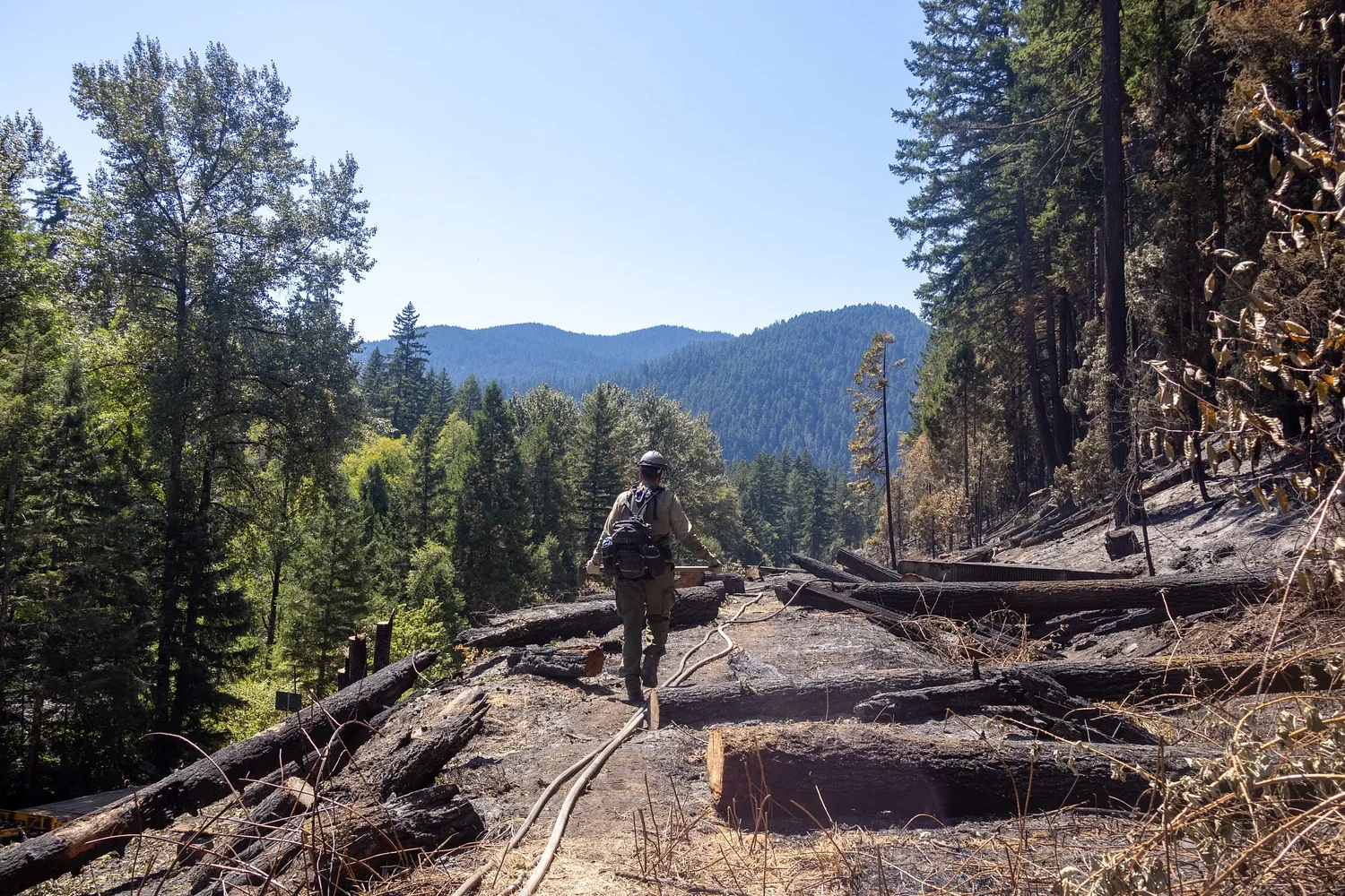 Inside the Aubrey Mountain Fire that scorched ‘out-of-whack’ forests 