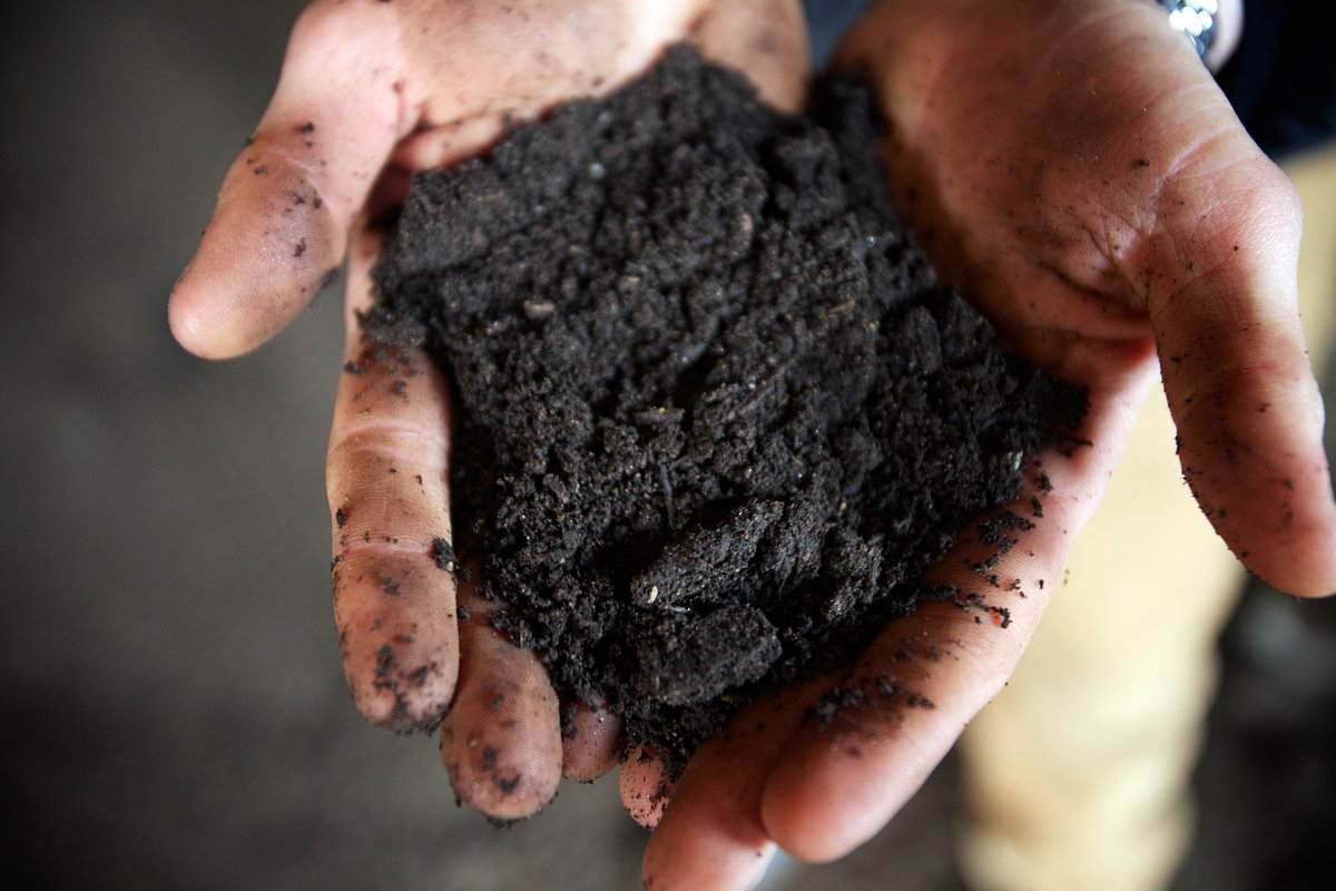 Baked dirt was mistakenly served to students at Maine school supper