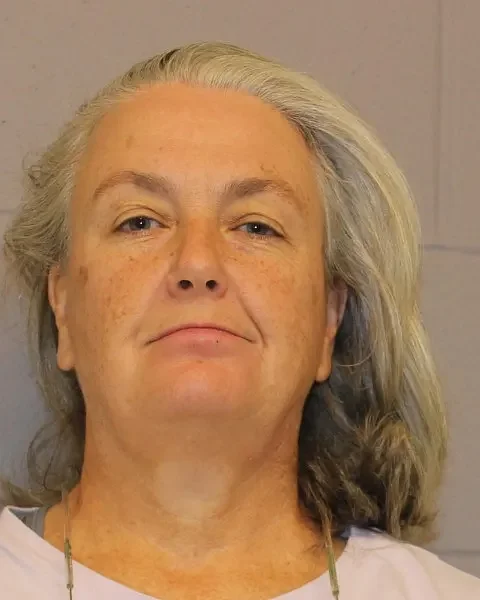 Former Hadley resident convicted after unleashing bees on deputies