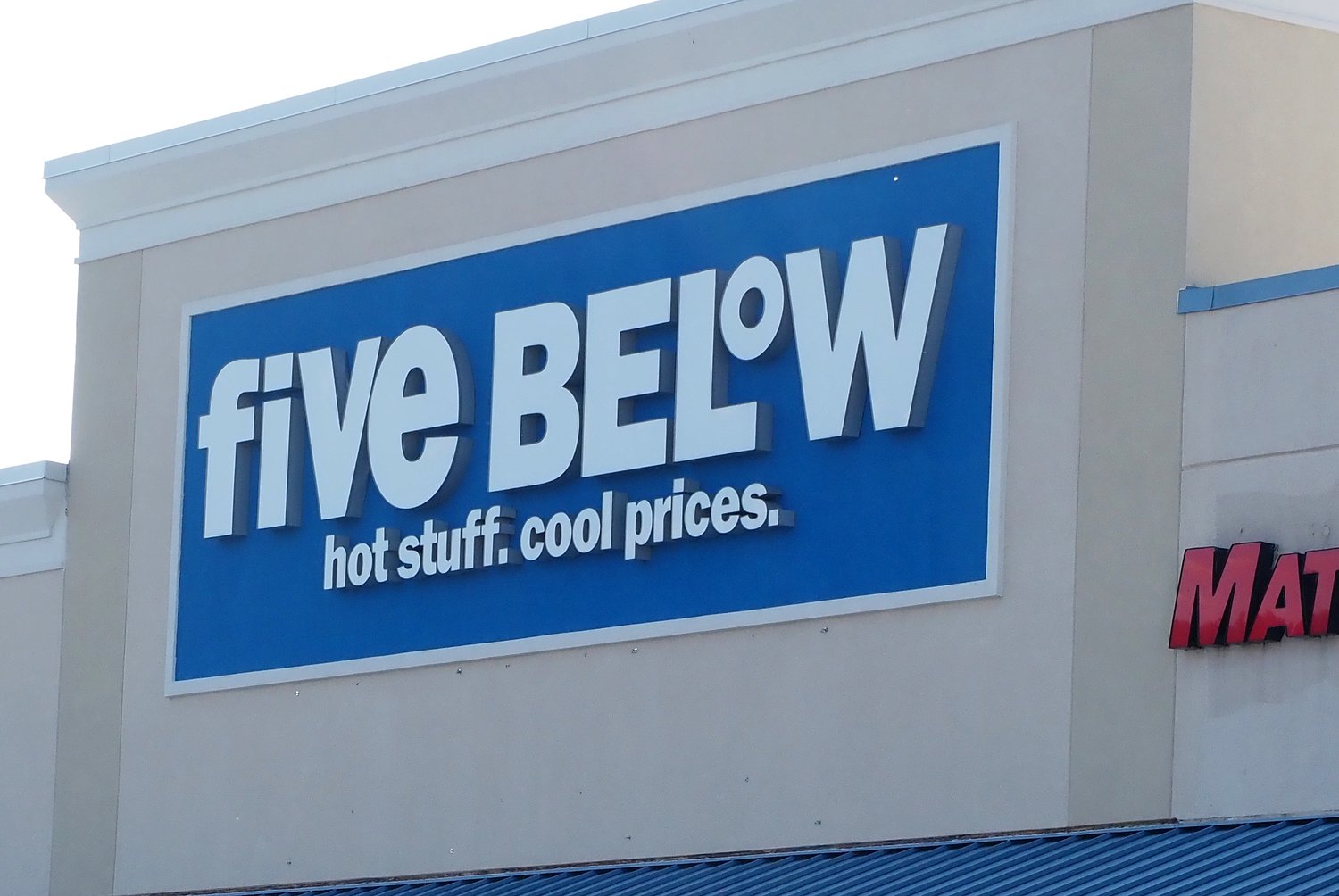 Discount chain plans to open more than 100 stores this year