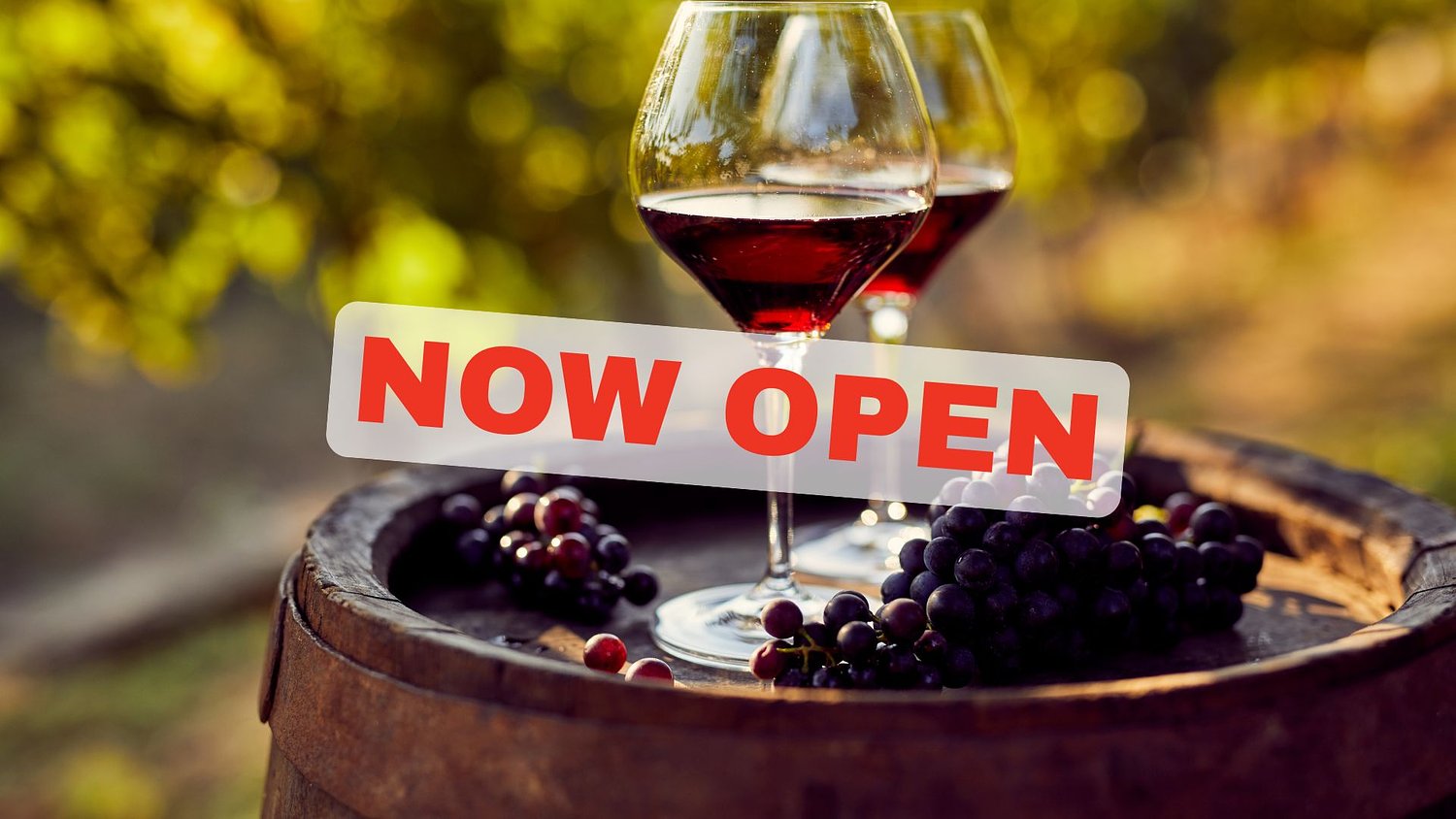 A new Jersey Shore winery opens with tastings and vineyard views