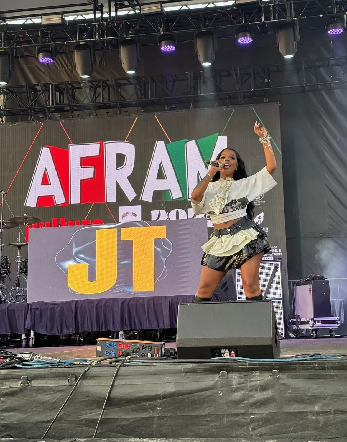 Star power and local pride shine at AFRAM 2025
