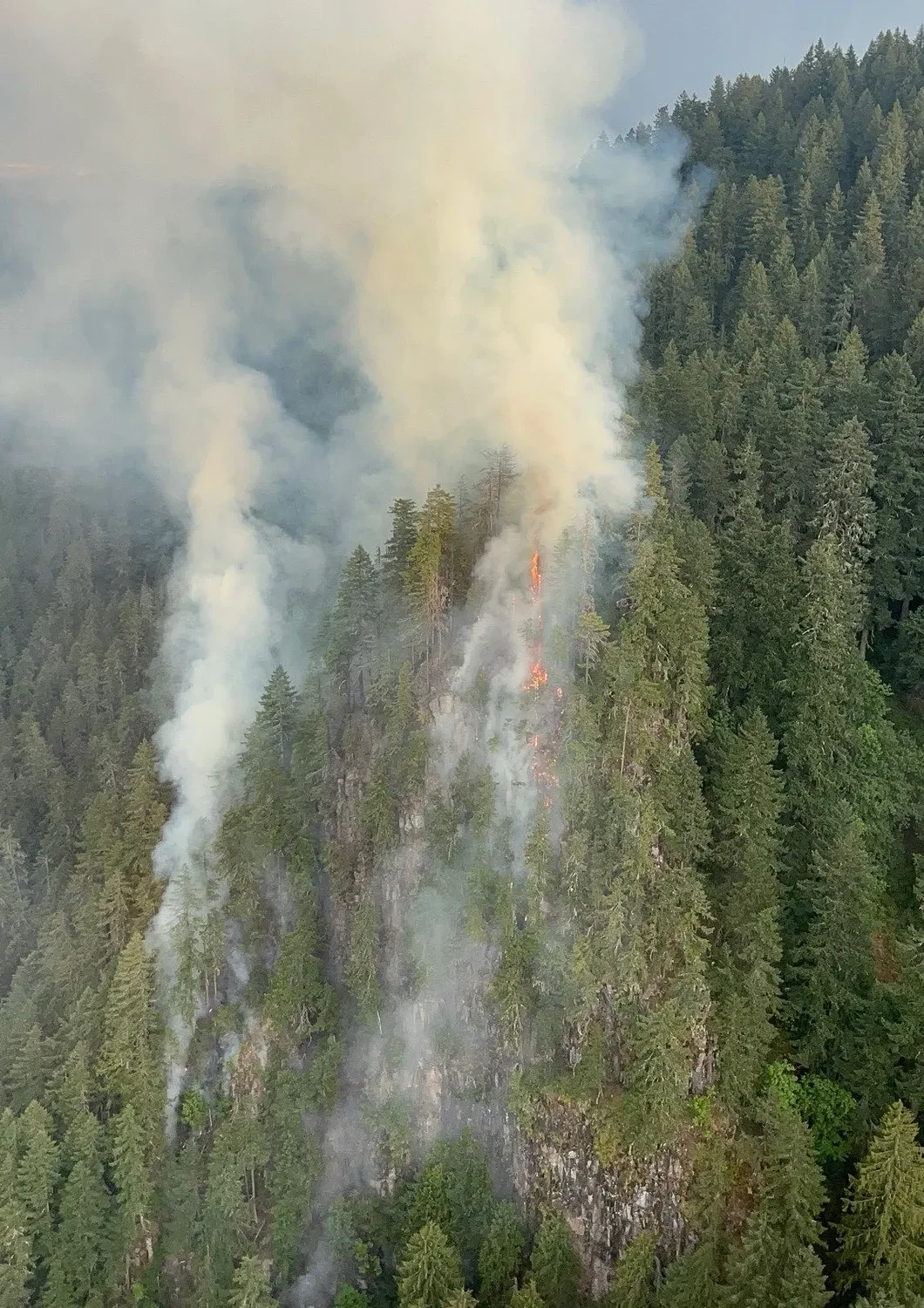 Crews fight Foley Ridge Fire east of McKenzie Bridge