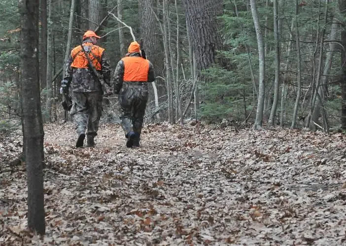 Massachusetts wildlife board supports ending Sunday hunting ban