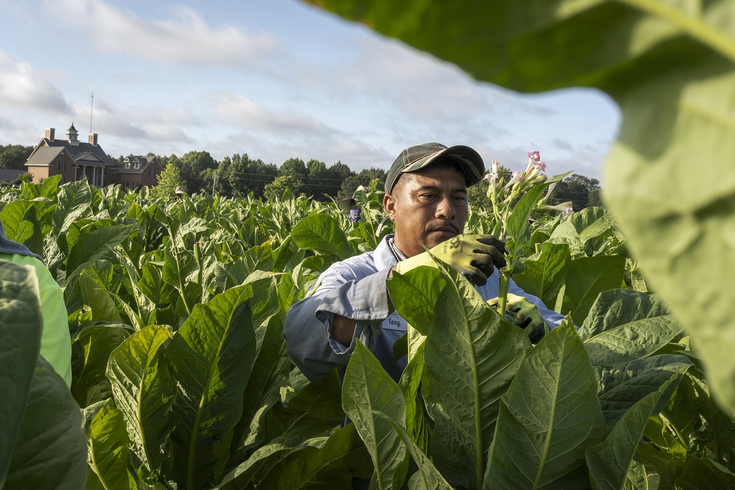 North Carolina Farm Stole H-2A Visa Workers’ Passports: Lawsuit