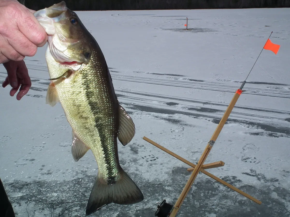 Why this angler avoids ice fishing for brook trout  