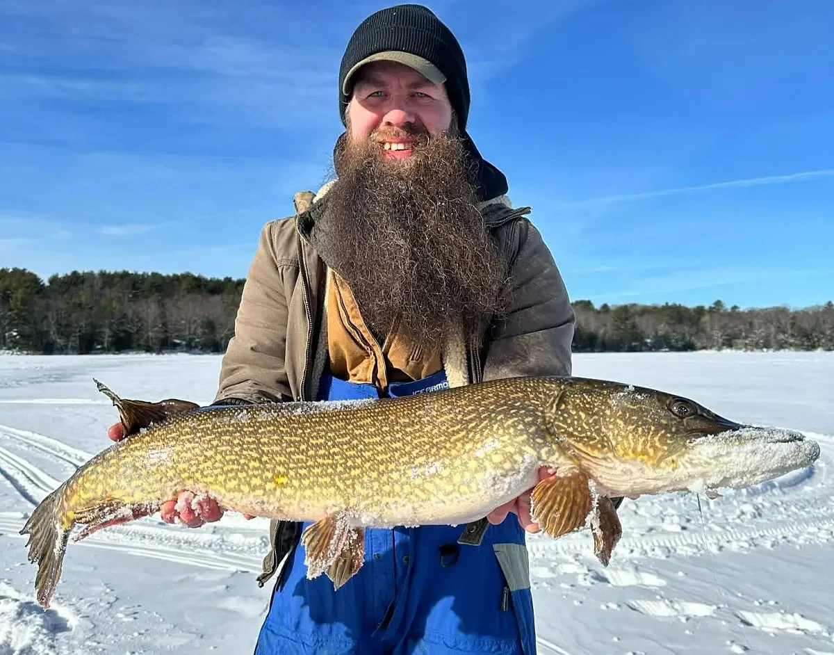 Fake announcement misleads Maine anglers about northern pike regulations