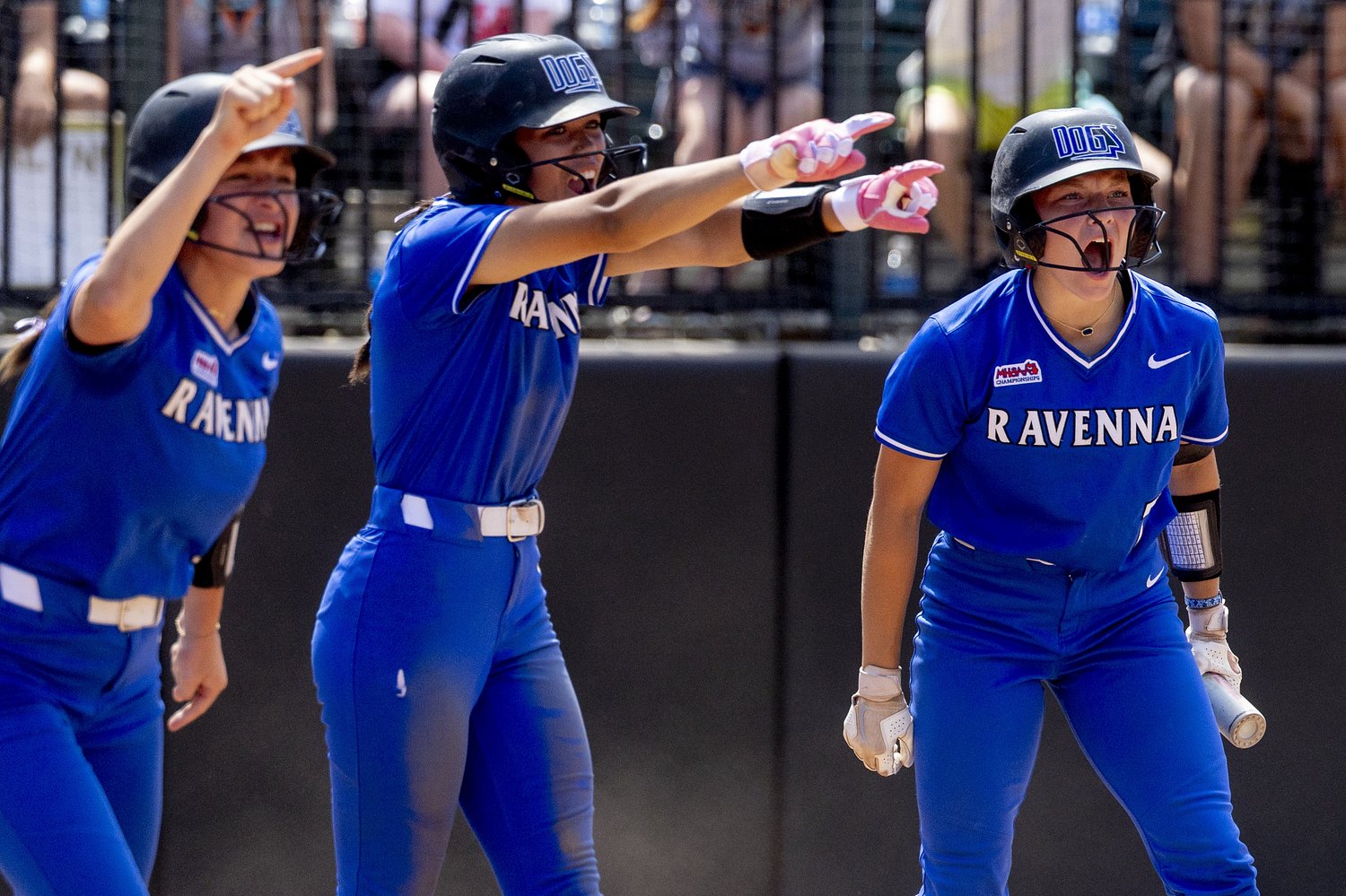 Final Michigan high school softball playoff brackets and links to title coverage
