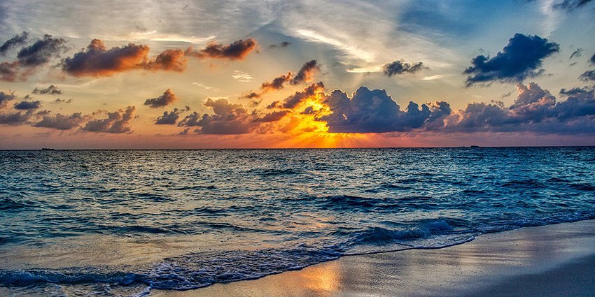 New Dawn for a Venerable, Hall-of-Fame Ortho Supplier