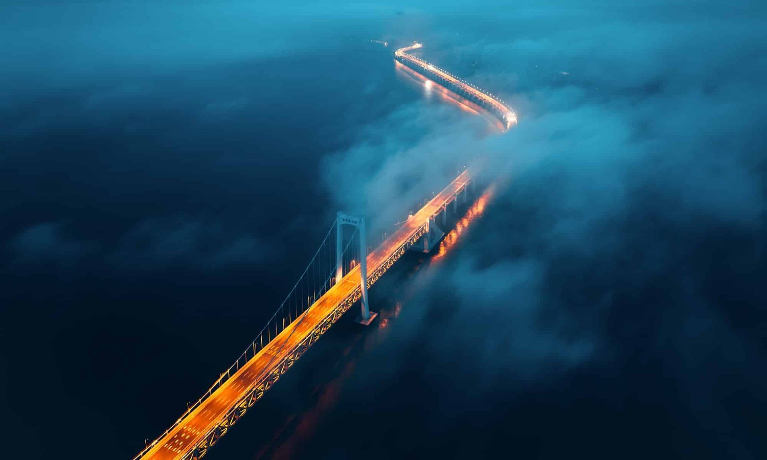 Decisions in the Fog: A Capital Report on Quiet Expansion in 2025