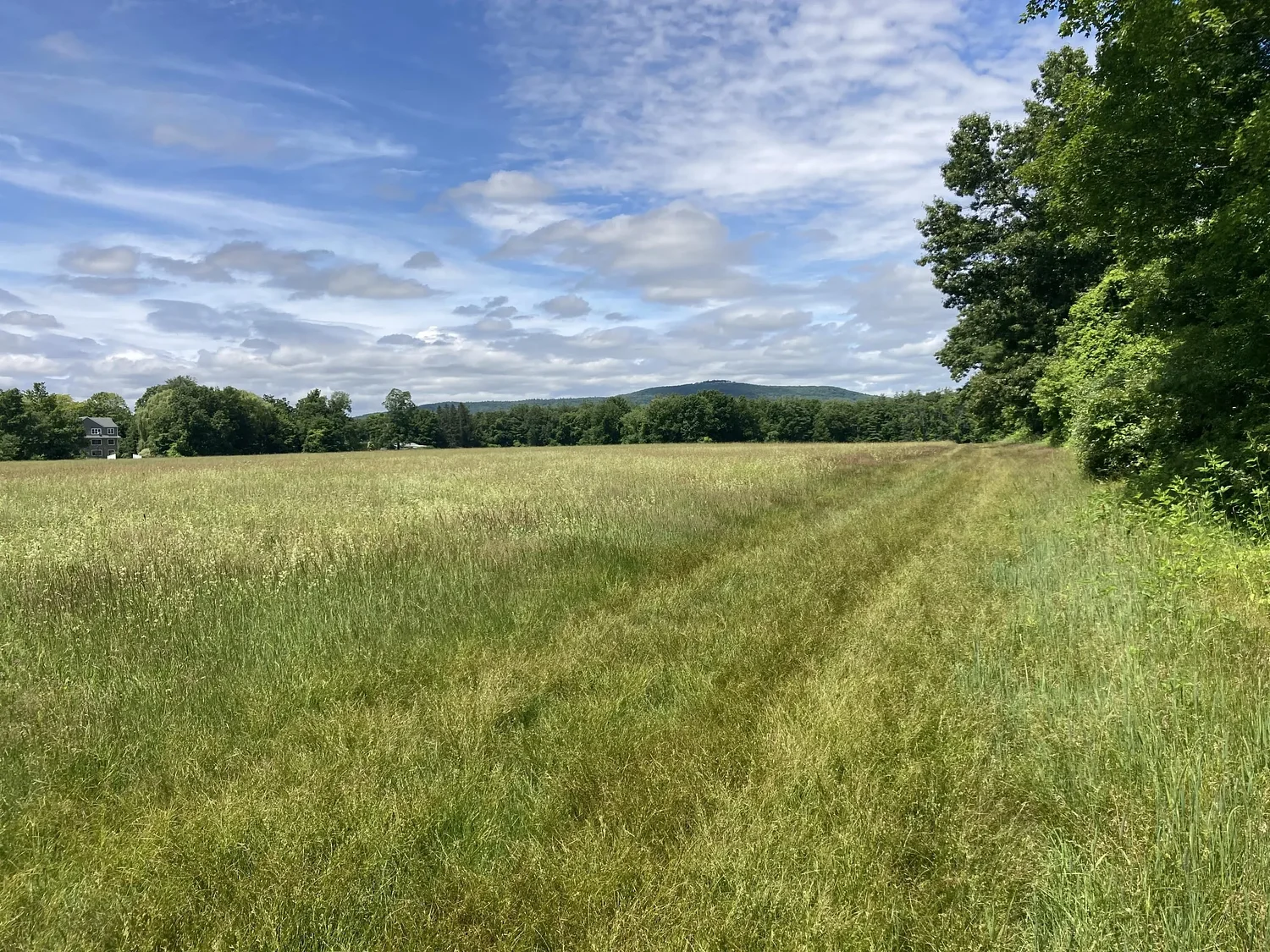Housing and conservation project moves forward in Easthampton