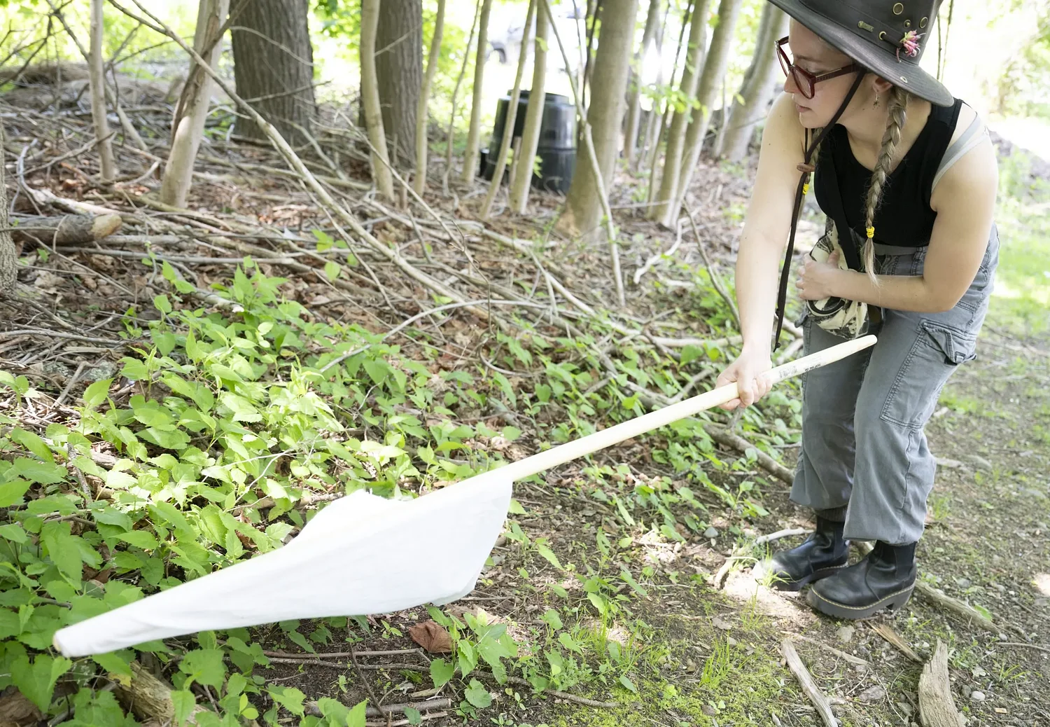 Oh deer, ‘ticks are winning’: Booming deer populations, shifting weather are fueling sharp rise across New England