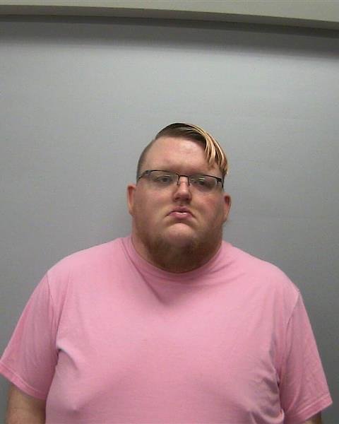 Dixon man charged with aggravated criminal sexual abuse, police say