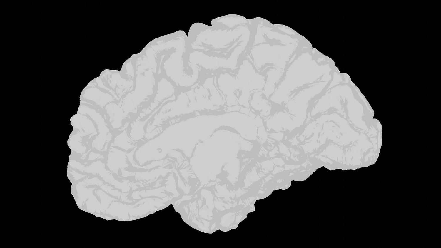 Talk therapy is good for maintaining an active brain