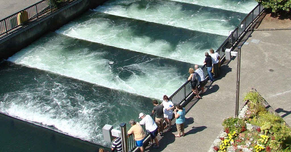 UPDATE: ODFW Commission sued over salmon policy change