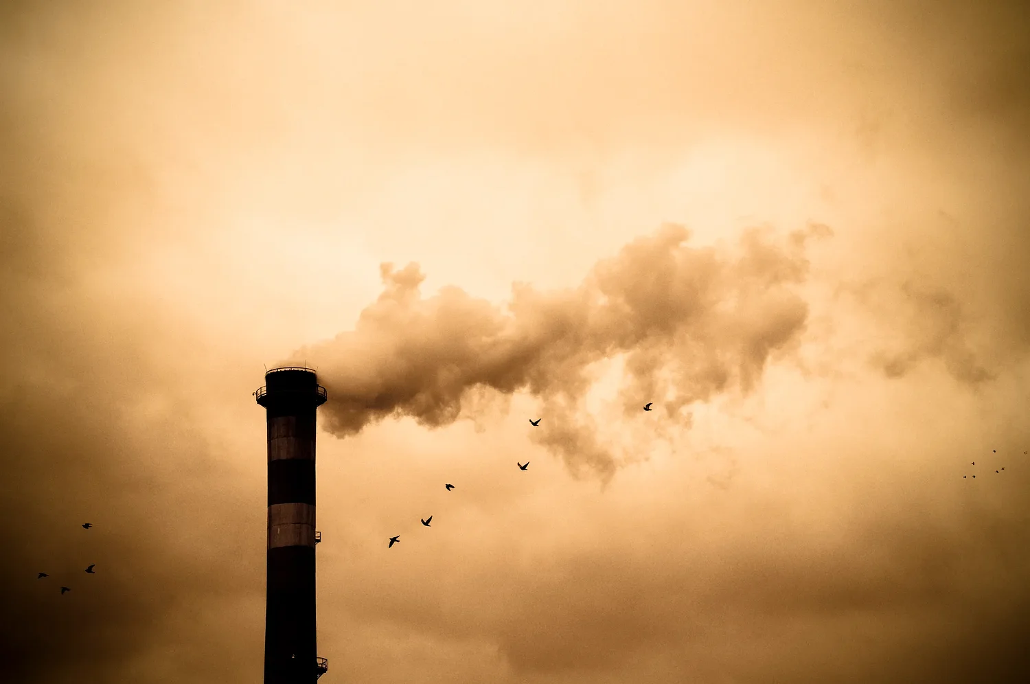 EPA’s Endangerment Finding Repeal Stands on Shaky Foundations
