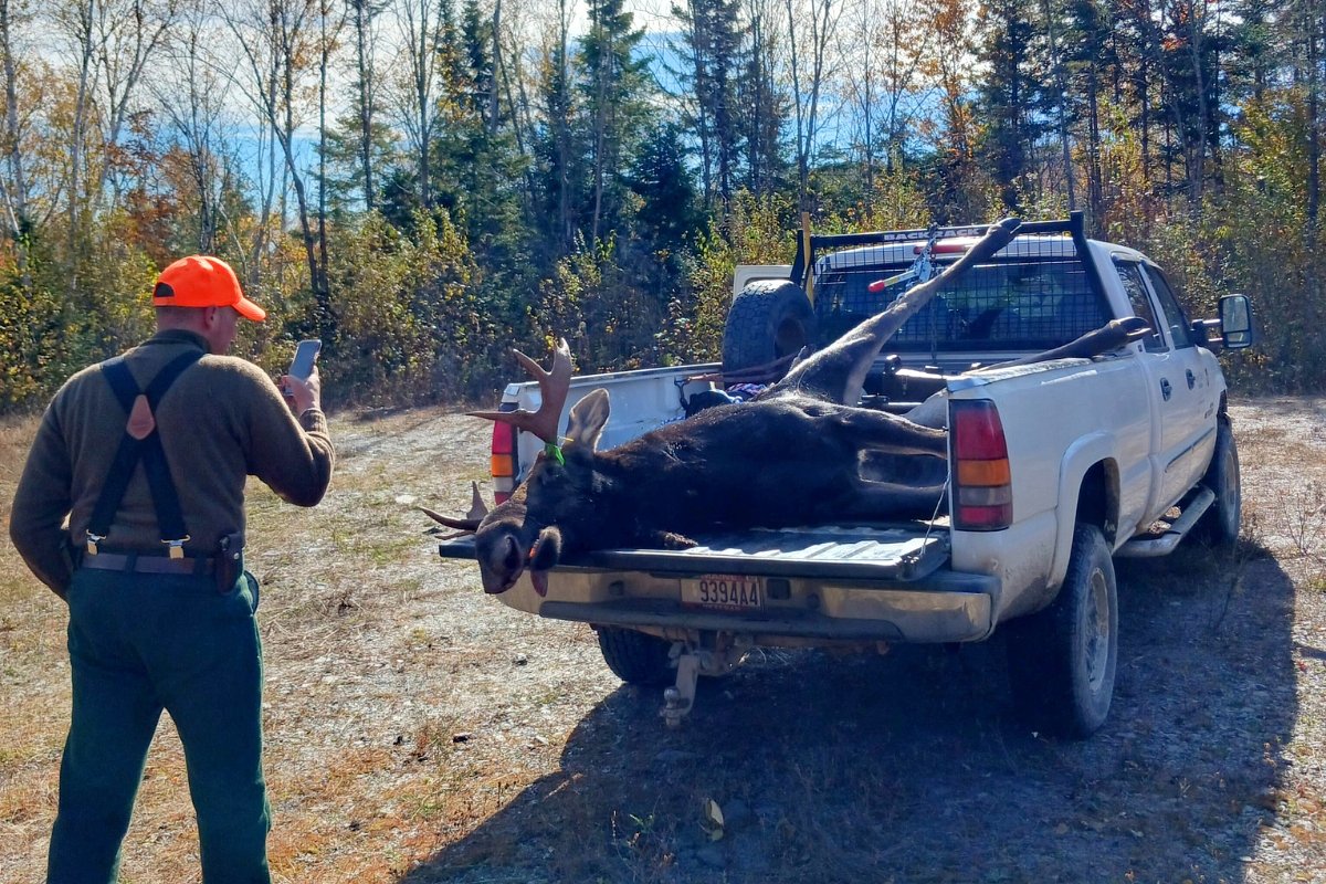 Every Maine guide has a truck like this