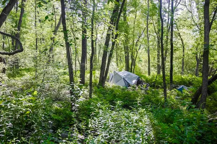 Report finds decline in NH homeless population, but affordability crisis charges on
