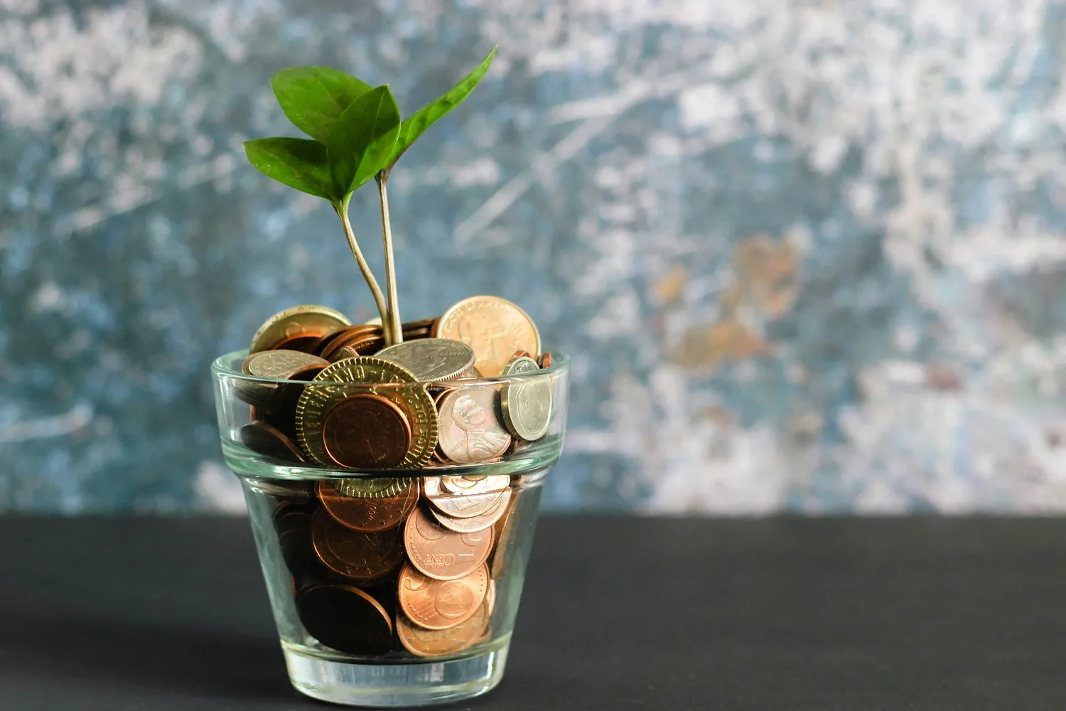 This Christmas, give our children something that will grow with them