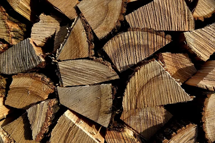 Vermont libraries lend moisture meters for cleaner wood burning