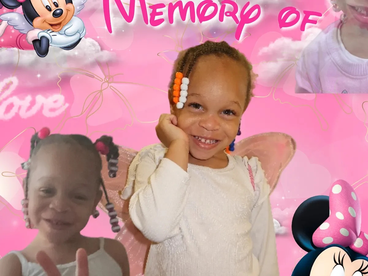 Harrison family sues over toddler's death in police chase