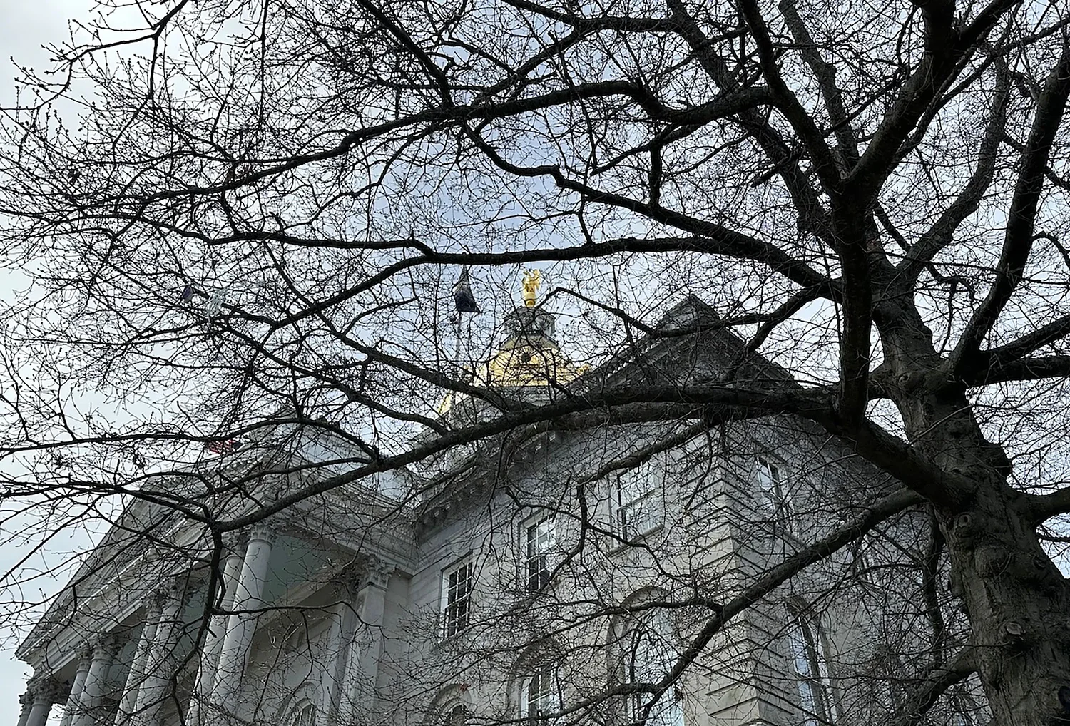 In party-line vote, NH House committee recommends universal open enrollment