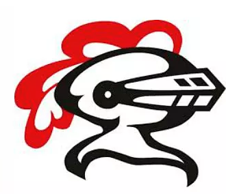Lincoln-Way Central upsets Lincoln-Way East to win regional title: The Herald-News Saturday Roundup