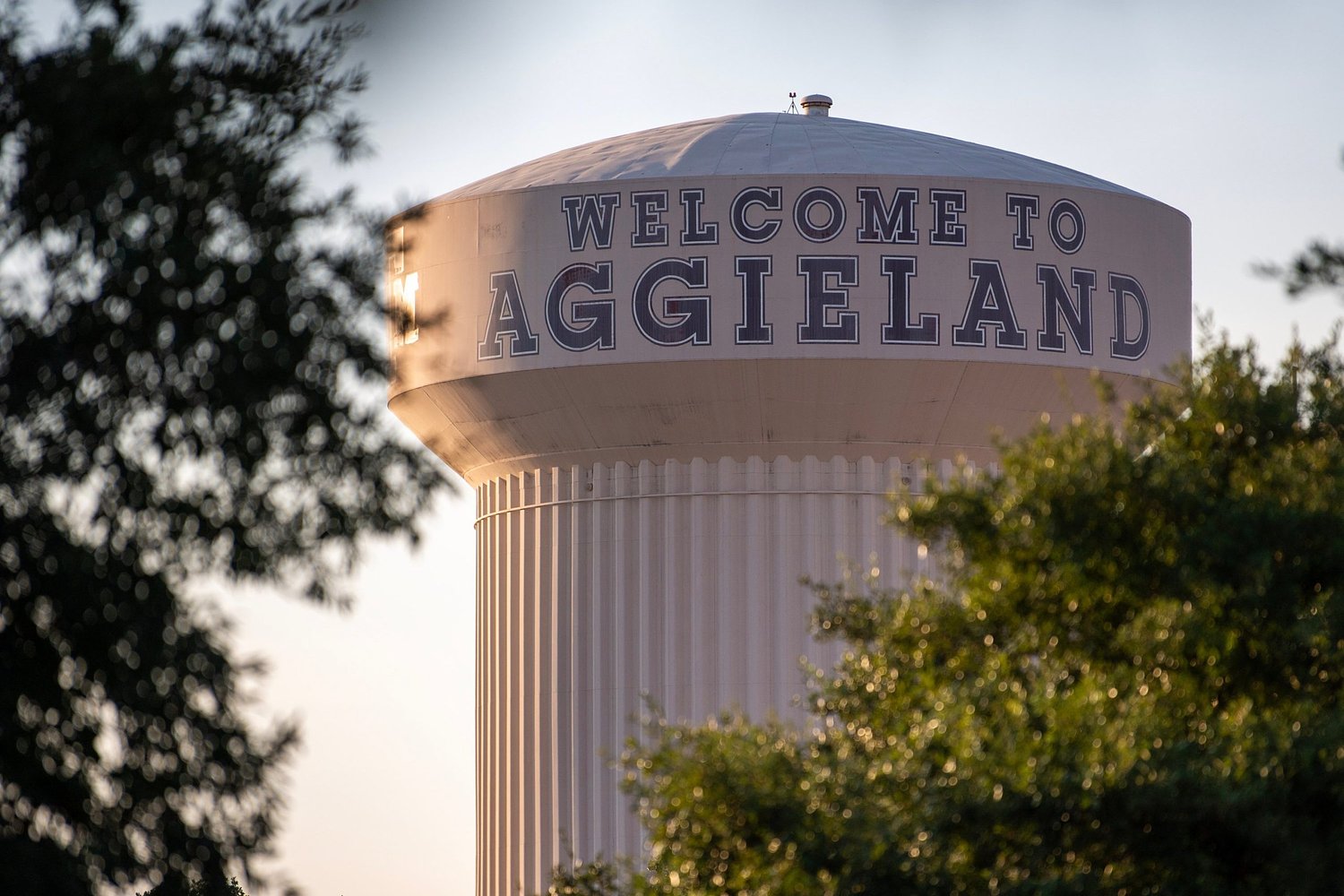 Texas A&M regents name Christian Hardigree president of newly acquired Victoria campus