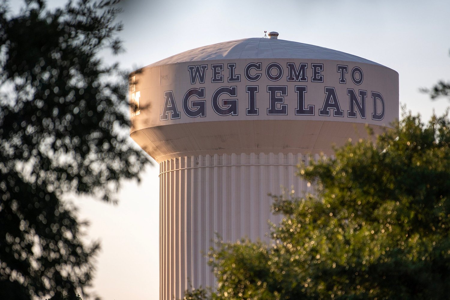 Texas A&M regents name Christian Hardigree president of newly acquired Victoria campus