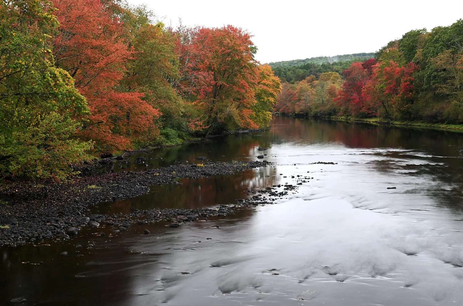 Local experts forecast a slight delay in foliage this fall