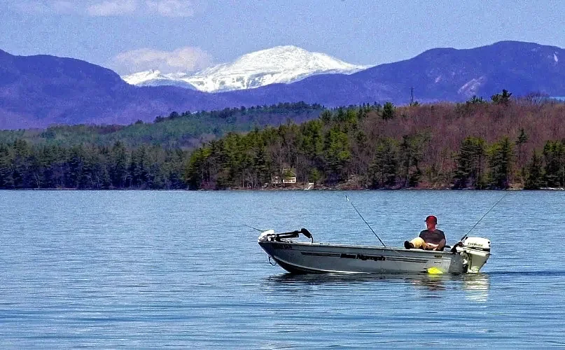 Walleyes and Madeleines: The magic of memory