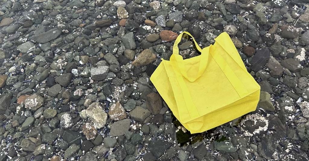 A new fight is coming over plastic bags