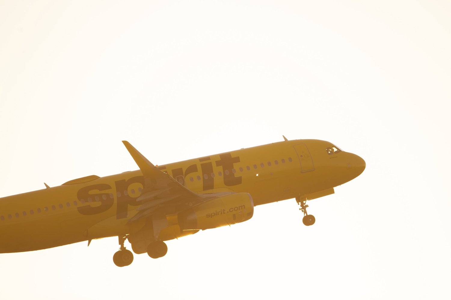 Organized Money: Who Killed Spirit Airlines?
