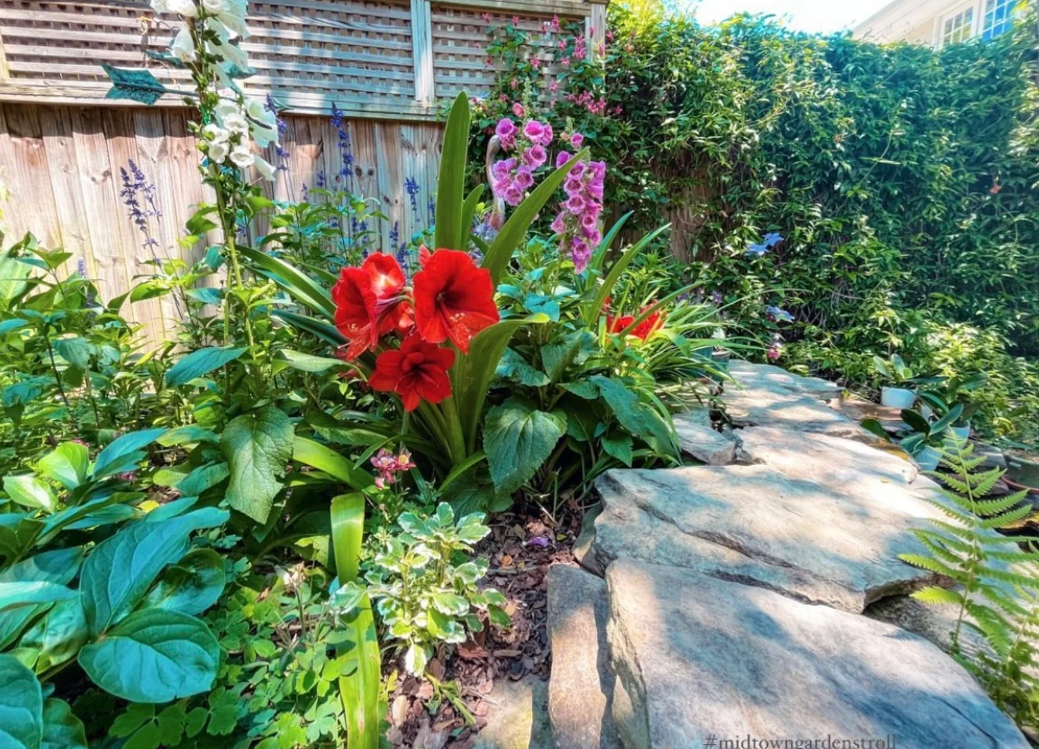 Self-guided Midtown Garden Stroll returns May 17 