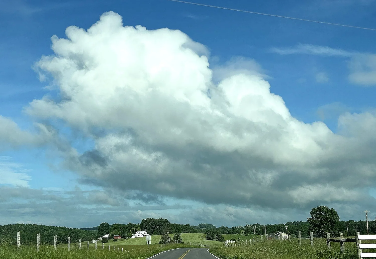 Up-and-down spring temperatures blamed for millions of dollars in crop damage in Virginia