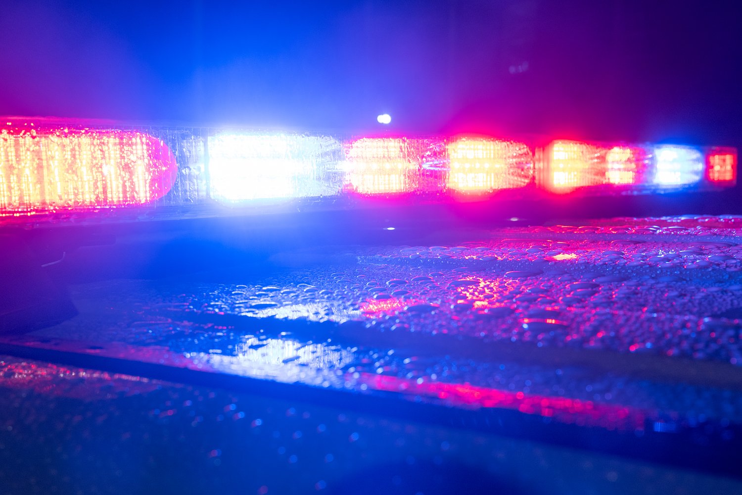 New York man killed his sons and wife after slaying deli owner, police say