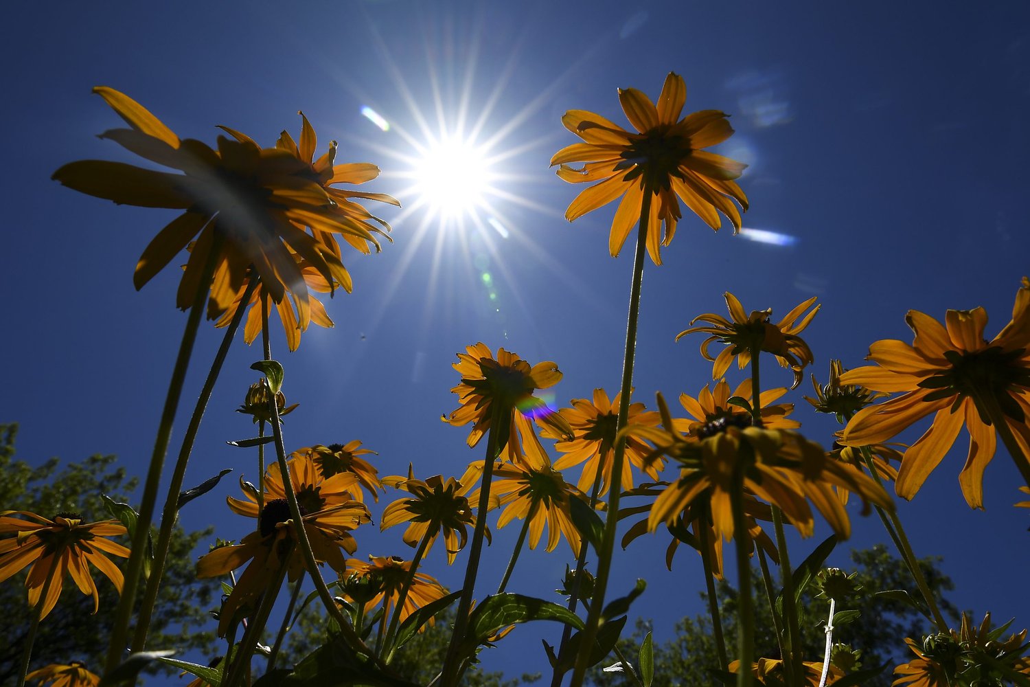 Temperatures in Eugene area expected to hit the 90s Sunday, Monday and Tuesday