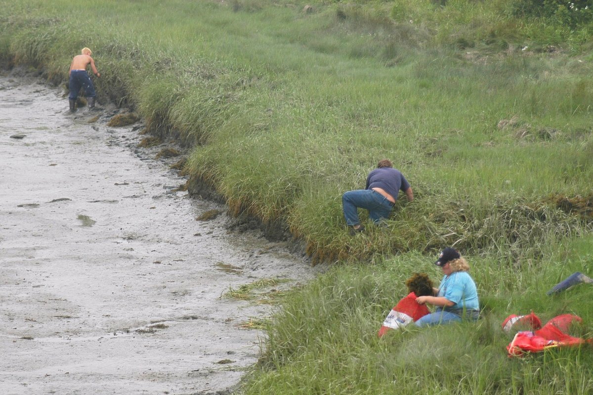 Cushing voters approve buying land for town’s 1st-ever public waterfront access