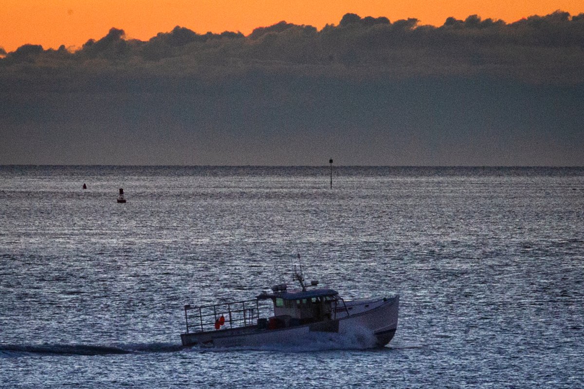 Vinalhaven lobsterman petitions Supreme Court over GPS tracking mandate