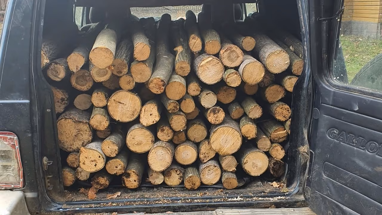 Transport ilegal de lemne pe un drum forestier din Arpașu de Sus: șofer oprit la 3 dimineața