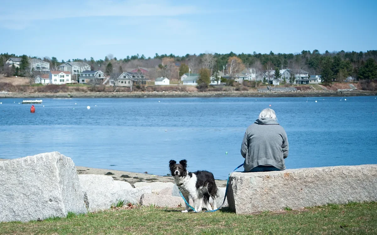 Belfast accepts donation of 94-acre, off-leash dog park