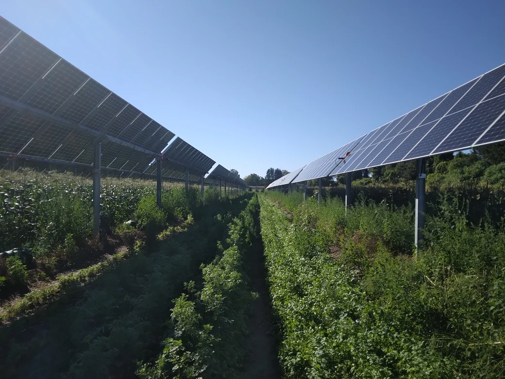 Hadley farm tests future of food and energy