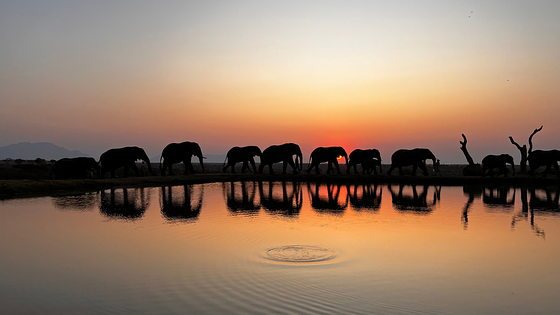 The Best Romantic Getaways in South Africa