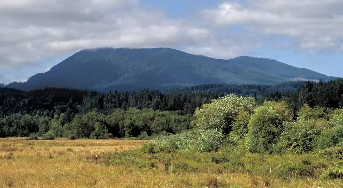 Marys Peak: Site of unusual wildflowers, long views, and a wild Native legend