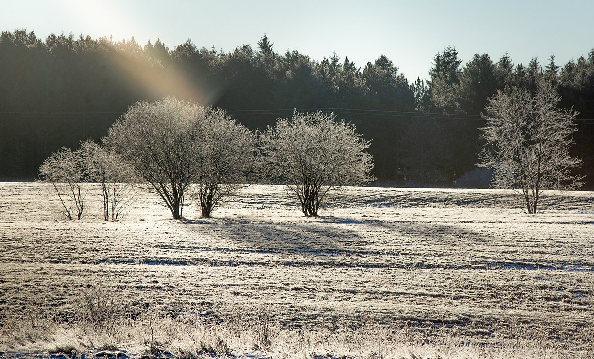 Bangor sets daily low temperature record during wave of cold weather